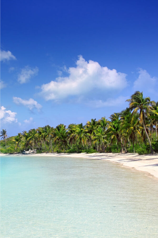 tour isla contoy e isla mujeres