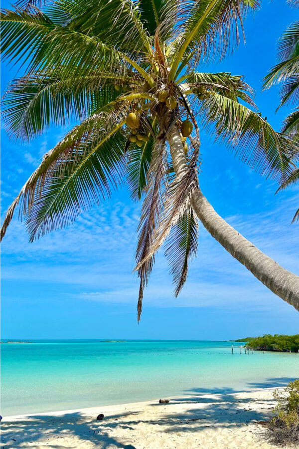 tour isla contoy e isla mujeres